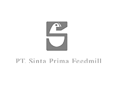 16.png